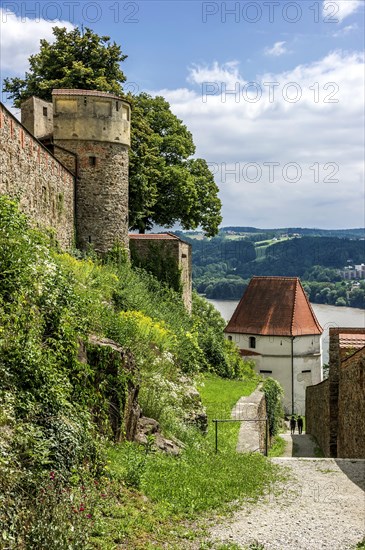 Ludwigssteig trail