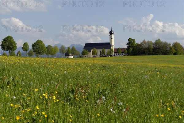 Church of St. Marinus and Anianus