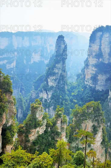 Avatar Mountains with vertical quartz-sandstone pillars