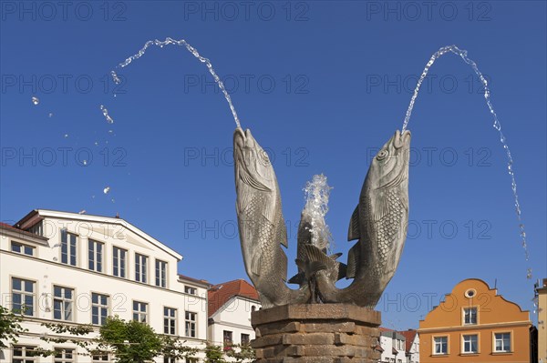 Fish fountain spouting water