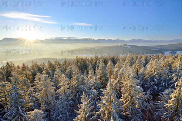 Sunrise over the Bernese Alps