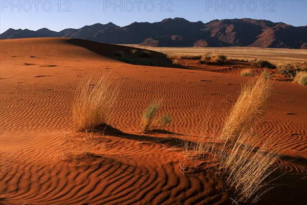 Southern foothills of the Namib desert