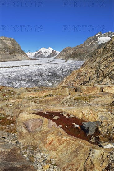 Great Aletsch Glacier