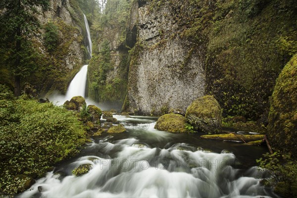 Wahclella Falls in the Columbia River Gorge