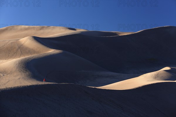 People walking on the dunes