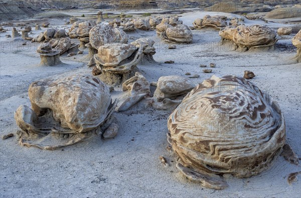 Rock formations in the Bisti Wilderness