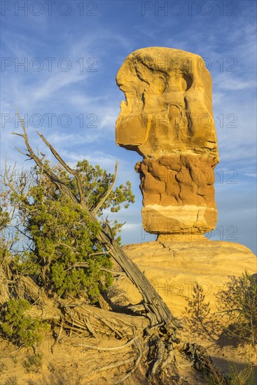 Rock formations in Devil's Garden