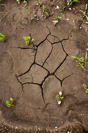 Dried puddle on a field