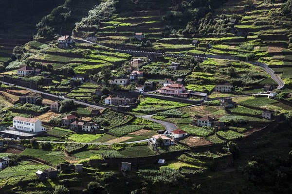 Terraced fields and houses