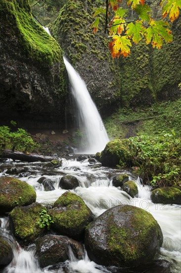 Ponytail Falls