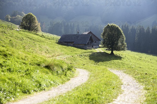 Gross Euchst Alm