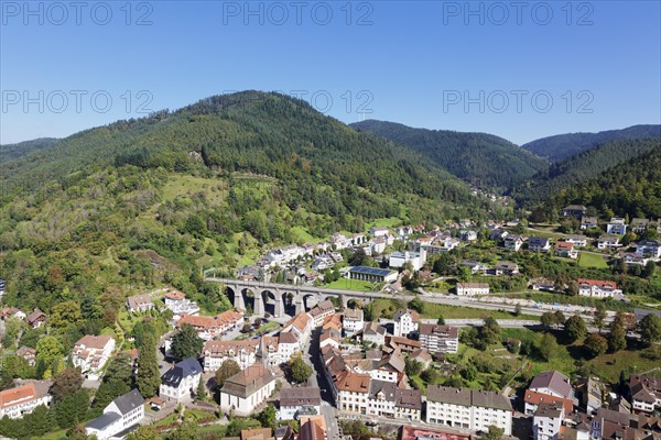 View from the castle on Hornberg and Gutachtal