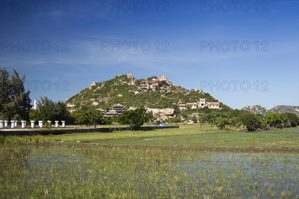 Rice field in the mountainous hinterland of Ninh Thuan