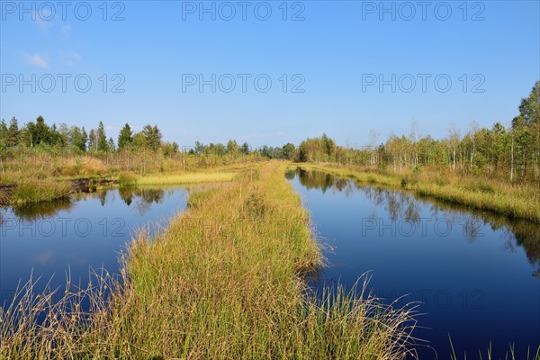 Waterlogged