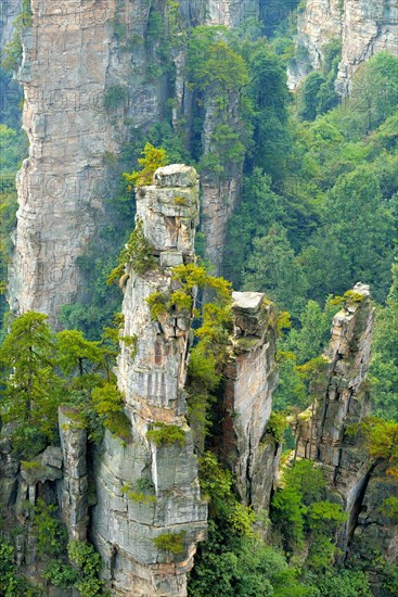 Tianzishan mountain with vertical rock columns of quartz sandstone