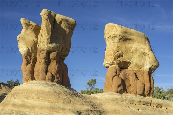 Rock formations in Devil's Garden