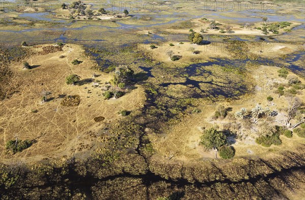 Typical landscape of freshwater marshes with streams