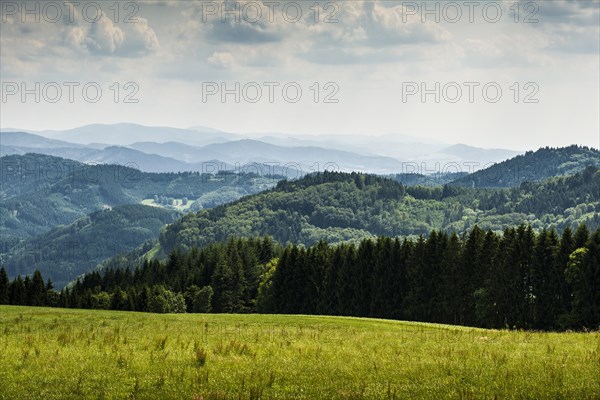 Meadow and wooded hills