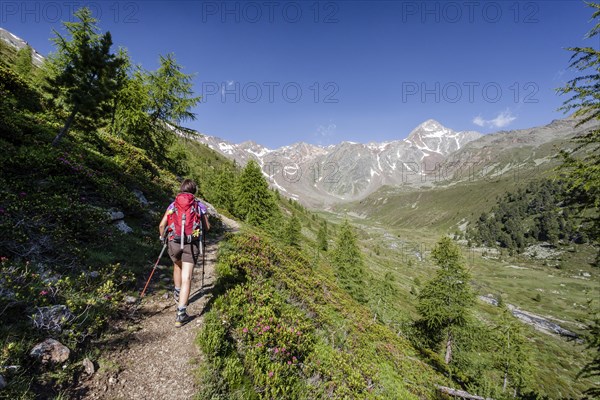 Mountaineers during the ascent to the Kortscher Schafsberg in Schnals