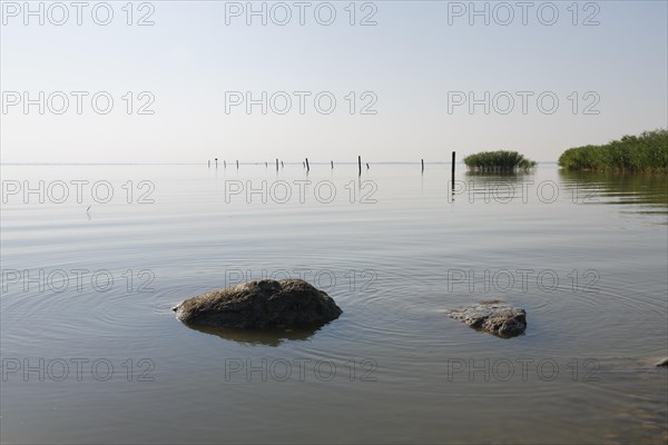 Lake Neusiedl