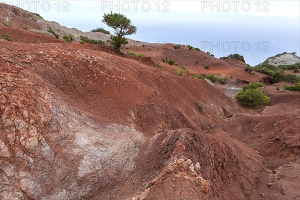 Red soil