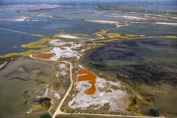 Salt patterns on the surface of salt marshes