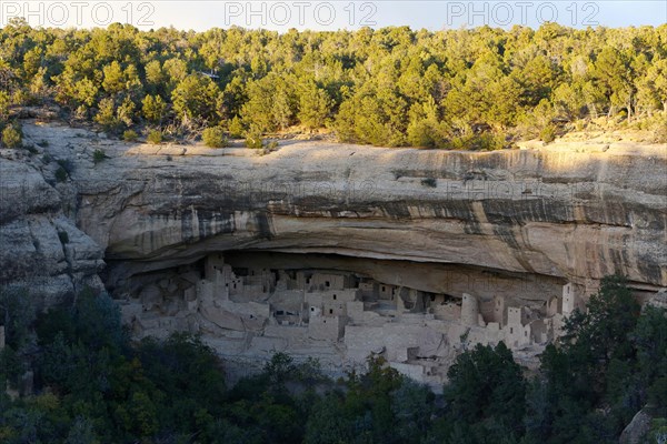 Cliff Palace cliff houses of the Anasazi