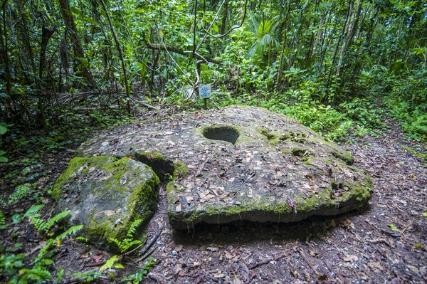 Old stone money