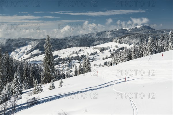 Snowy winter landscape