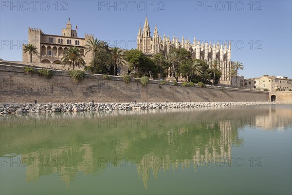 Palma Cathedral at the marine park Parc de la Mar