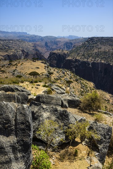 Huge canyon at the Dixsam plateau