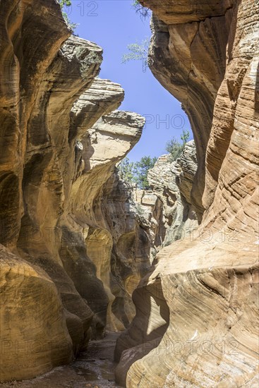 Hiking trail through Willis Creek Canyon