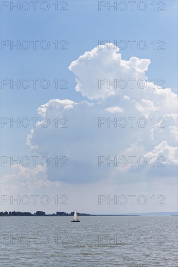 Sailboat on Lake Neusiedl