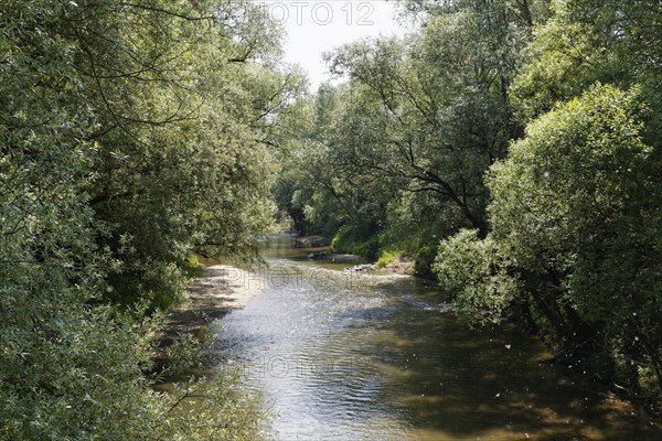 River Raab