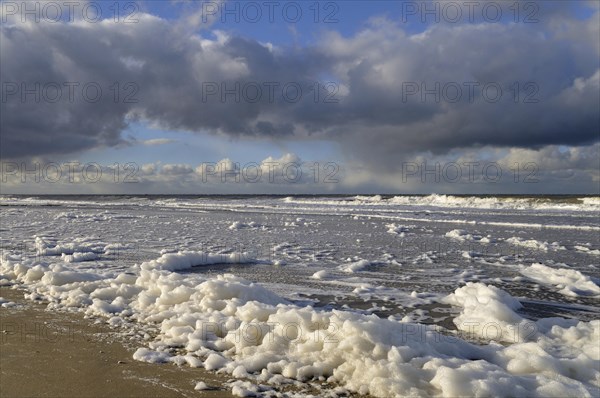 Surf on the beach of Norderney