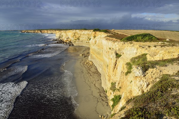 Cliffs in the evening light with rain clouds