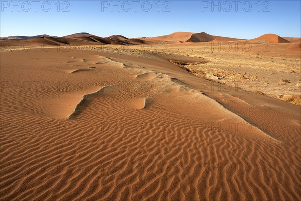 Sand dunes