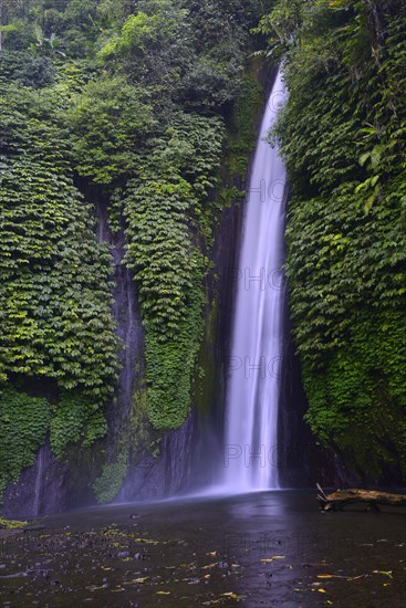 Waterfall of Munduk