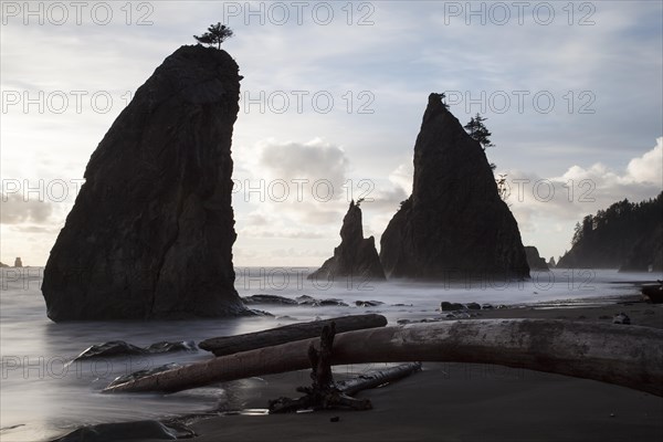 Rialto Beach in Olympic National Park