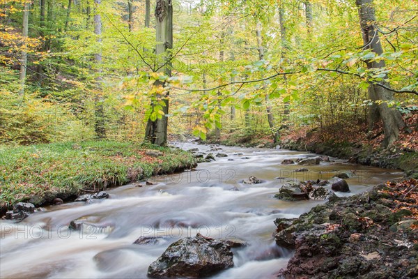 Ilsetal valley in autumn