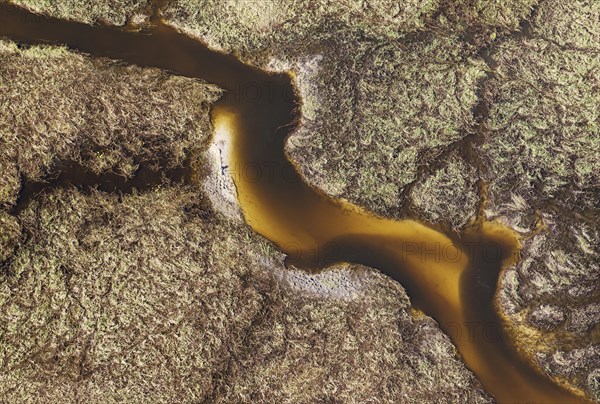 Freshwater marshes with sandy streams and channels