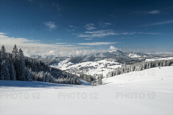 Snowy winter landscape