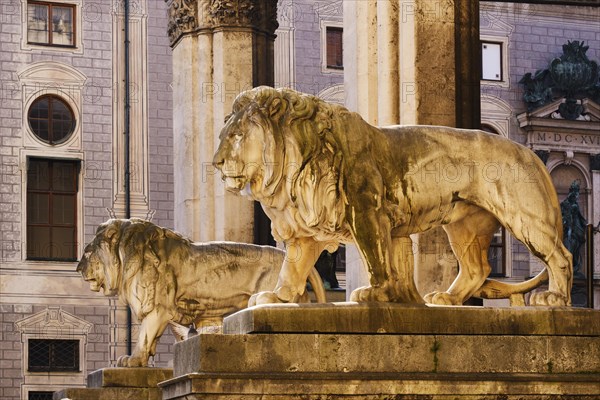Stone lions at the Feldherrnhalle