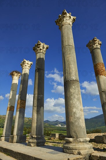 Corinthian columns