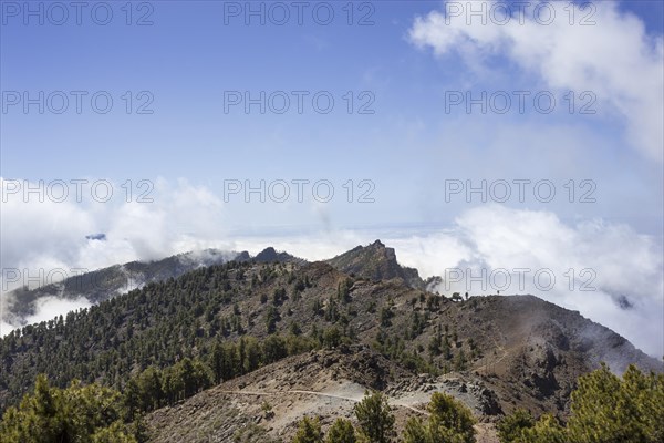View from Pico de las Nieves