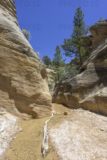 Hiking trail through Willis Creek Canyon