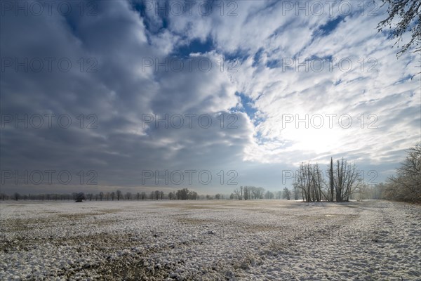 Winter landscape