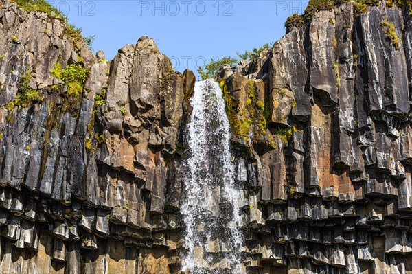 Svartifoss