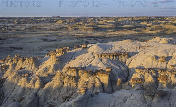 Rock formations in the Bisti Wilderness