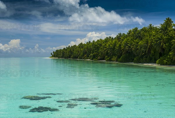 Islet and turquoise water in the Ant Atoll